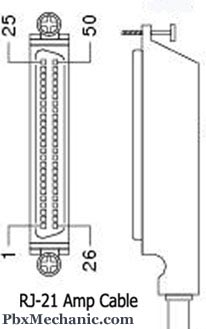 RJ21 25 pair Amphenol cable.